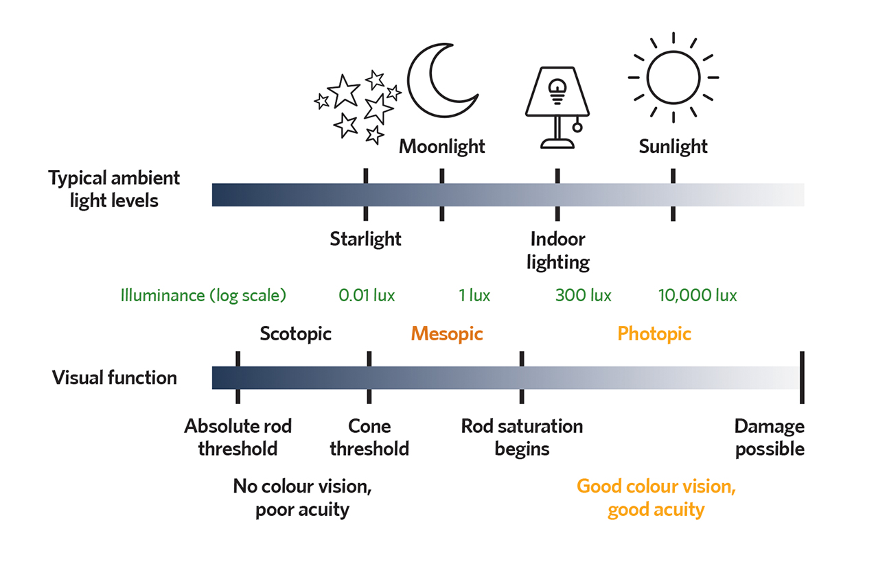 Module 147: Lighting the way for wellbeing – CIBSE Journal