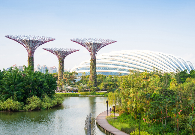 Singapore landscape